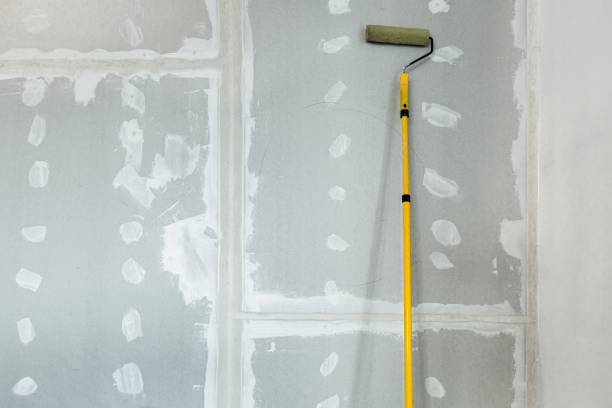 Best Water-Damaged Drywall Repair  in Sauk Vlage, IL